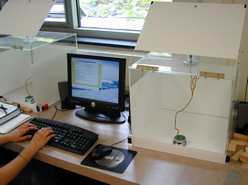 http://cs.brynmawr.edu/BeyondLegos/Images/BMCKheperaSetUp.png